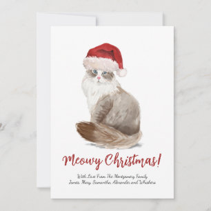 Cartes Pour Fêtes Annuelles Joli chat de Noël Meowy personnalisé