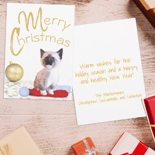 Cartes Pour Fêtes Annuelles Joli chaton siamois de Noël Ornement doré