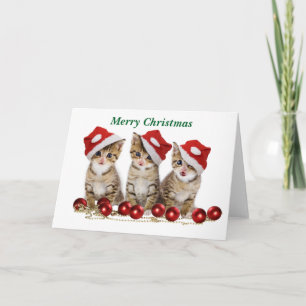 Cartes Pour Fêtes Annuelles Joli chatons Noël