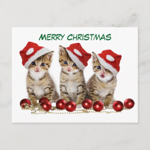 Cartes Pour Fêtes Annuelles Joli chatons Noël