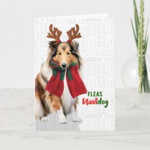 Cartes Pour Fêtes Annuelles Joli chien Colley Drôle de puces Navidog Noël