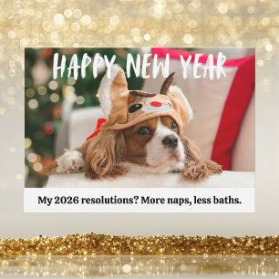 Cartes Pour Fêtes Annuelles Joli Chien Drôle Animal Bonne Année Photo