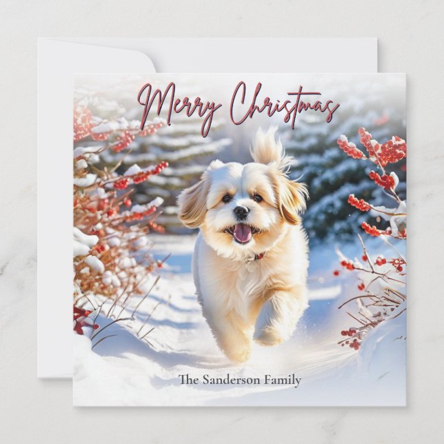 Cartes Pour Fêtes Annuelles Joli Chien Lhassa Apso En Neige Joyeux Noël (Devant)