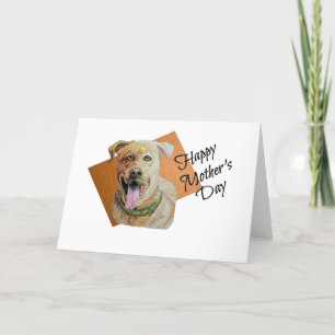Cartes Pour Fêtes Annuelles Joli chien Pit Bull Bringé Bonne Fête des Mères