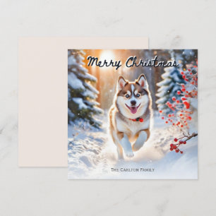 Cartes Pour Fêtes Annuelles Joli chien Pomsky dans la neige Joyeux Noël d'hive
