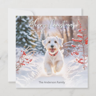 Cartes Pour Fêtes Annuelles Joli chien Sealyham Terrier dans la neige Joyeux N