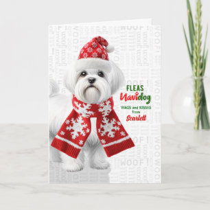 Cartes Pour Fêtes Annuelles Joli chien Shih Tzu Drôle Navidog avec nom