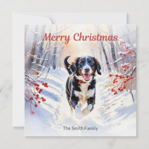 Cartes Pour Fêtes Annuelles Joli chien Springador dans l'eau de neige Noël aqu