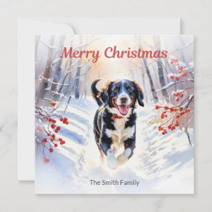 Cartes Pour Fêtes Annuelles Joli chien Springador dans l'eau de neige Noël aqu