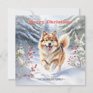 Cartes Pour Fêtes Annuelles Joli chien suédois Lapphund neige Joyeux Noël