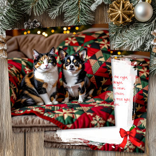 Cartes Pour Fêtes Annuelles Joli Chihuahua et chat de Noël