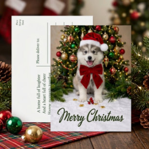 Cartes Pour Fêtes Annuelles Joli chiot Pomsky amoureux du Père Noël Joyeux Noë