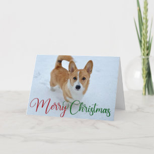 Cartes Pour Fêtes Annuelles Joli Corgi de Noël avec queue en neige