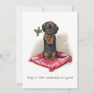 Cartes Pour Fêtes Annuelles Joli Dachshund Vintage St. Patrick's Day avec trèf