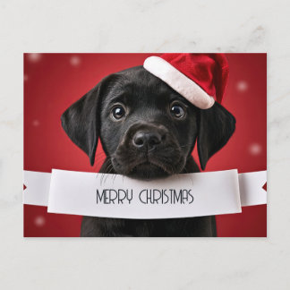 Cartes Pour Fêtes Annuelles Joli Labrador Retriever Rouge Noël