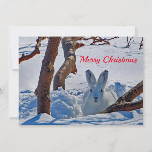 Cartes Pour Fêtes Annuelles Joli lapin blanc neige photo Noël plat