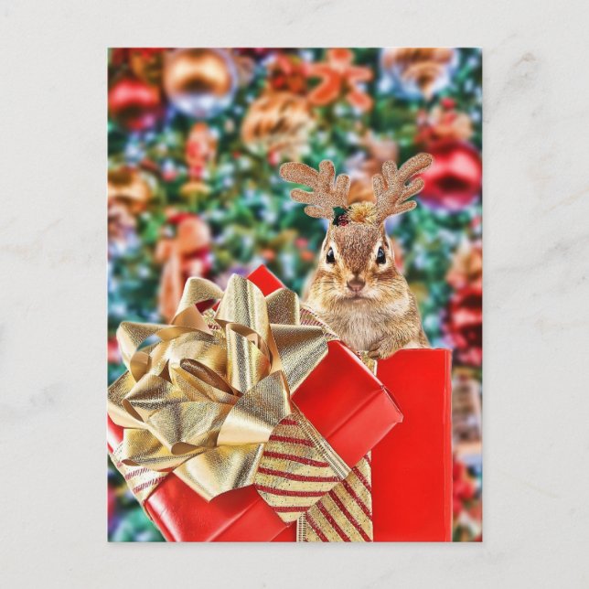 Cartes Pour Fêtes Annuelles Joli Noël Chipmunk (Devant)