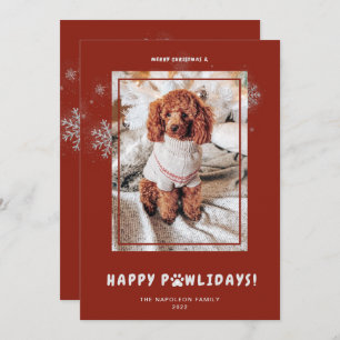 Cartes Pour Fêtes Annuelles Joli Noël Joyeux Joyeux PAWlidays Photo Animaux