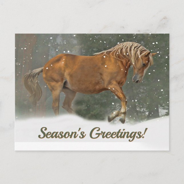 Cartes Pour Fêtes Annuelles Joli Palomino Brouillon Cheval dans la neige Noël (Devant)