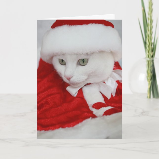 Cartes Pour Fêtes Annuelles Joli Père Noël blanc Kitty (Devant)