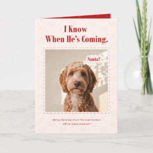 Cartes Pour Fêtes Annuelles Joli Père Noël Photo Drôle de Chien Noël
