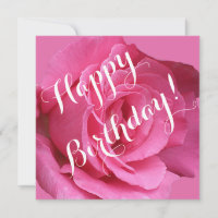 Joli rose rose rose floral belle Joyeux anniversai