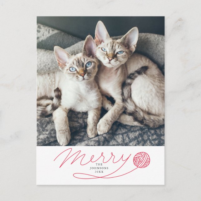 Cartes Pour Fêtes Annuelles Joli script rouge de merry avec une photo de chat  (Devant)
