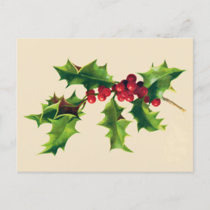 Cartes Pour Fêtes Annuelles Jolie branche Holly Vintage