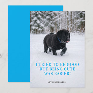 Cartes Pour Fêtes Annuelles Jolie Cher Père Noël J'ai Essayé D'être Sage Photo