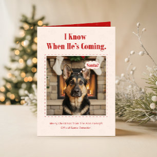 Cartes Pour Fêtes Annuelles Jolie Chien Animal De Compagnie Famille Photo Noël