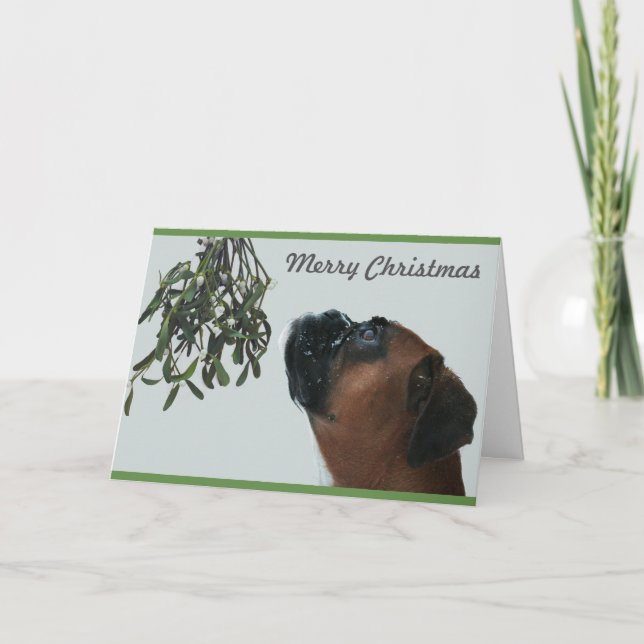 Cartes Pour Fêtes Annuelles Jolie de chien de boxe avec Mistletoe (Devant)