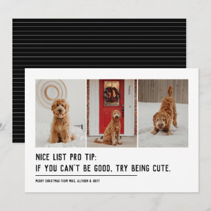 Cartes Pour Fêtes Annuelles Jolie liste drôle animal familier trois photo noir
