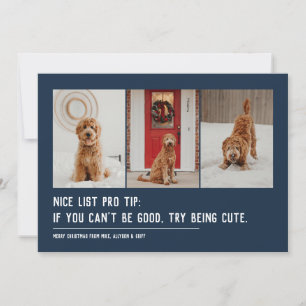 Cartes Pour Fêtes Annuelles Jolie liste drôle animal trois photo marine Noël