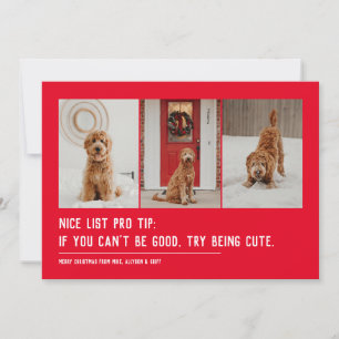 Cartes Pour Fêtes Annuelles Jolie liste drôle animal trois photo Noël