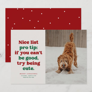 Cartes Pour Fêtes Annuelles Jolie liste drôle mignon rouge vert animal de comp