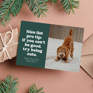 Cartes Pour Fêtes Annuelles Jolie liste drôle mignonne photo de Noël de animal