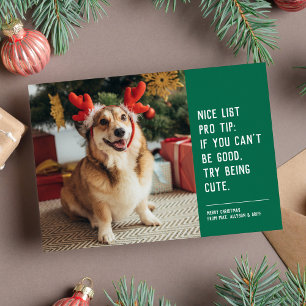 Cartes Pour Fêtes Annuelles Jolie liste photo de Noël amusante d'animal de com