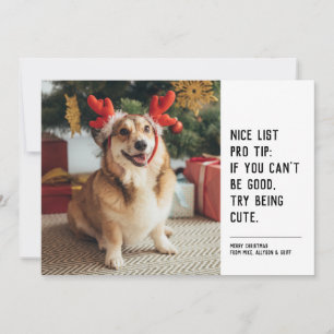 Cartes Pour Fêtes Annuelles Jolie liste photo de Noël drôle d'animal en noir e