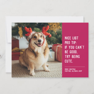 Cartes Pour Fêtes Annuelles Jolie liste photo de Noël drôle d'animal rose