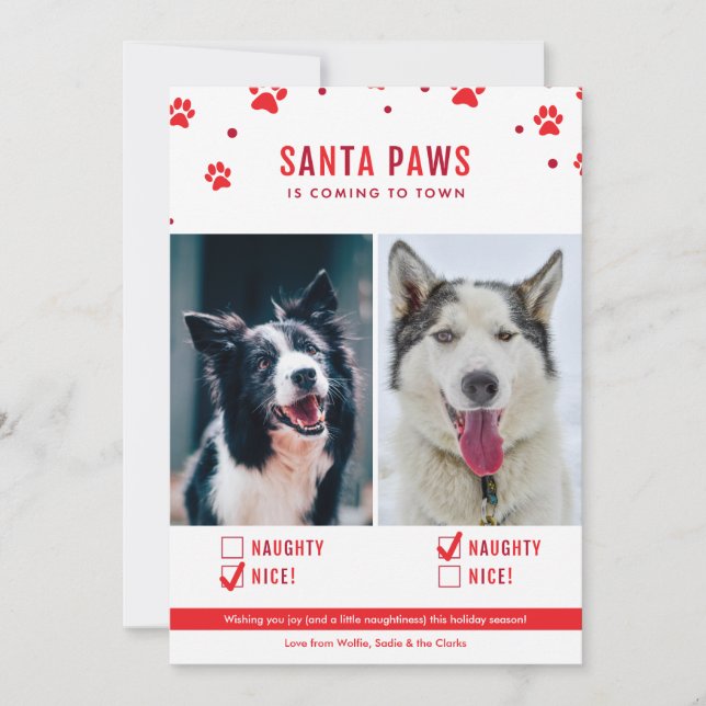 Cartes Pour Fêtes Annuelles Jolie Naughty ou Nice Deux Chiens Photo de Noël (Devant)