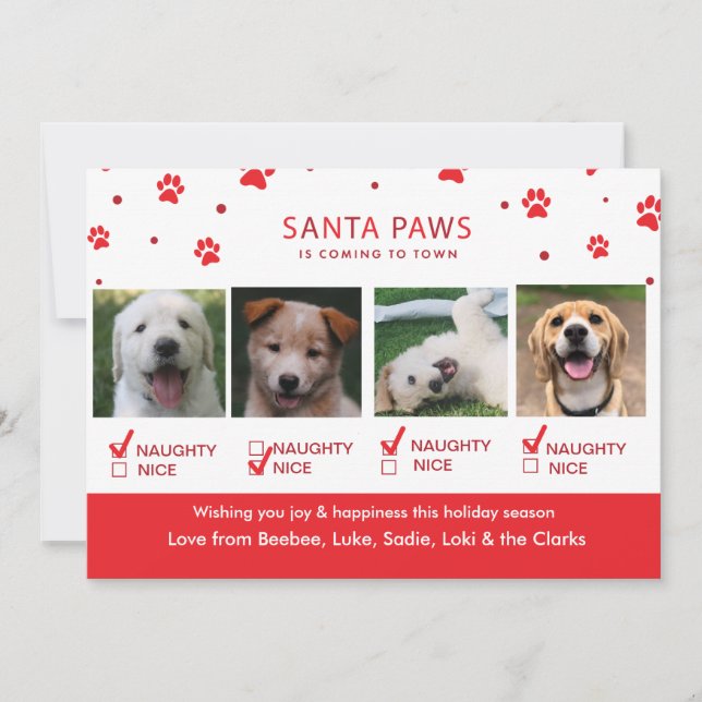 Cartes Pour Fêtes Annuelles Jolie Naughty ou Nice Four Dog Photo de Noël (Devant)
