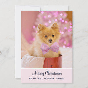 Cartes Pour Fêtes Annuelles Jolie photo de chien de Noël avec un nœud rose et 