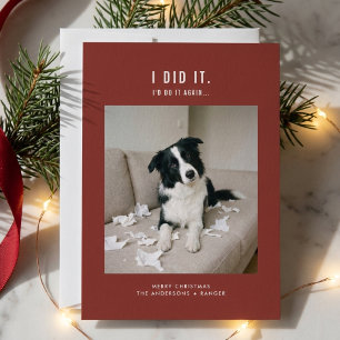 Cartes Pour Fêtes Annuelles Jolie photo de chien drôle de Noël