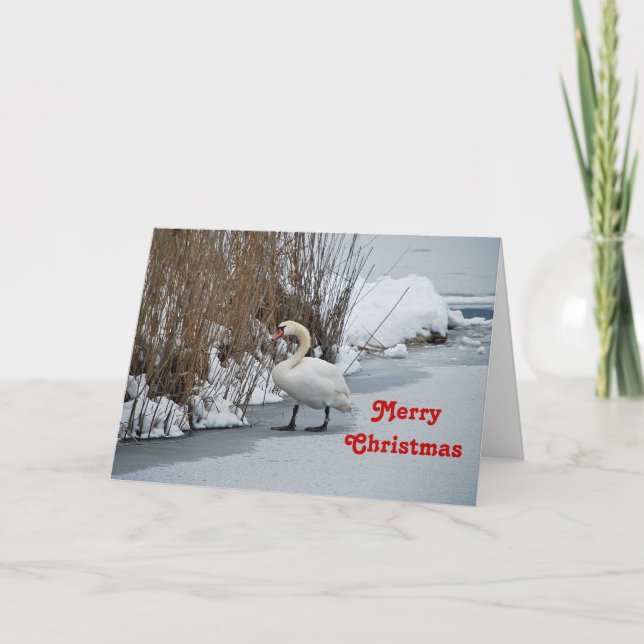 Cartes Pour Fêtes Annuelles Jolie photo de neige du cygne blanc Noël (Devant)