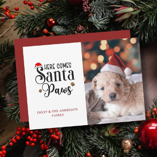 Cartes Pour Fêtes Annuelles Jolie photo de Noël de chien Voici venu le Père No