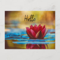Jolie photo d'une fleur de Lotus dans un étang