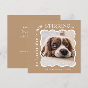Cartes Pour Fêtes Annuelles Jolie photo pour animaux de compagnie Noël