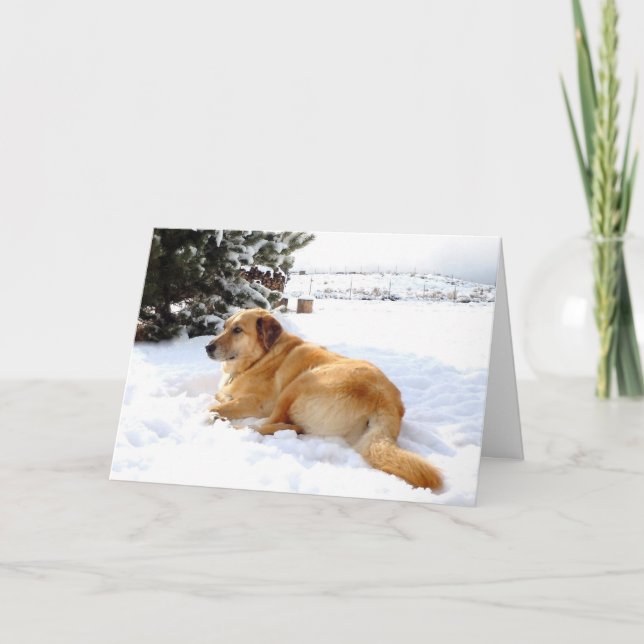 Cartes Pour Fêtes Annuelles Jolie scène de chien de golden retriever de (Devant)