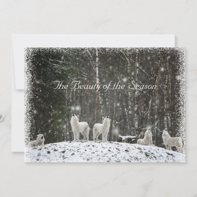 Cartes Pour Fêtes Annuelles Jolie scène de neige Nature Wolves Personnaliser l (Devant)