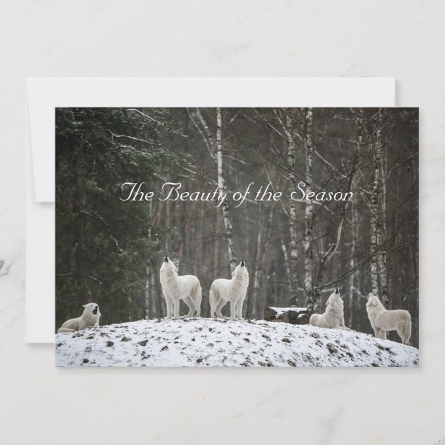 Cartes Pour Fêtes Annuelles Jolie scène de neige Nature Wolves Personnaliser l (Devant)
